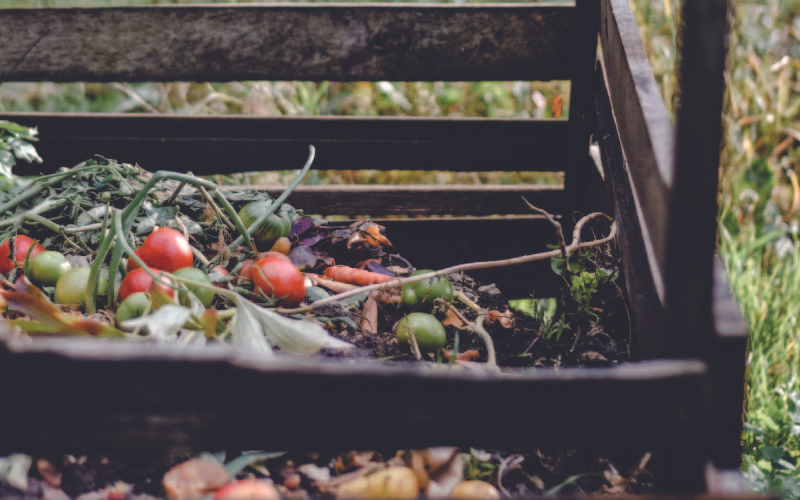 Composting is one of the ways you can reduce your food waste and help Malaysia achieve zero waste.